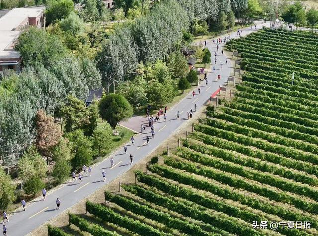 tenan, entit, 助力奔跑